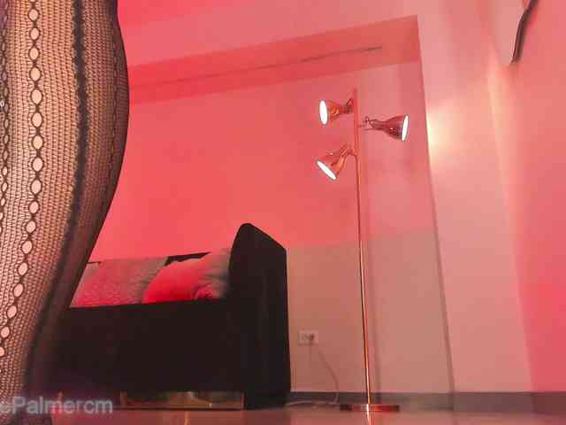 CelestePalmer webcam