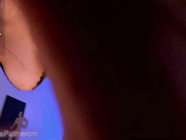 CelestePalmer webcam