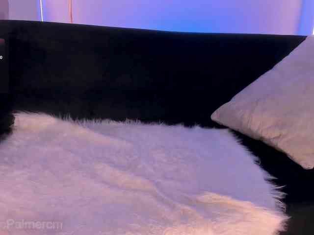 CelestePalmer webcam