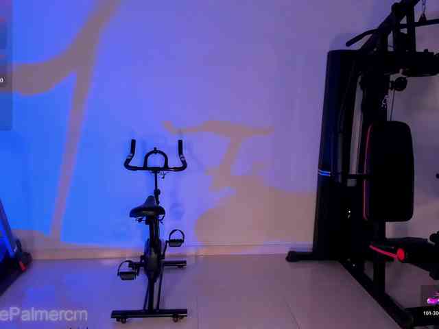 CelestePalmer webcam