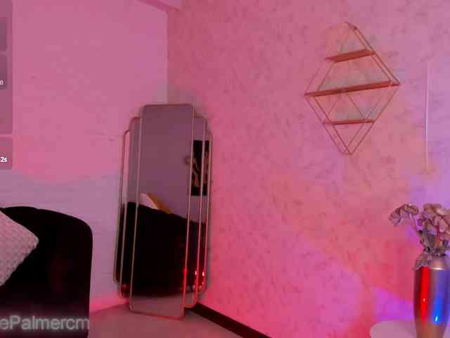 CelestePalmer webcam