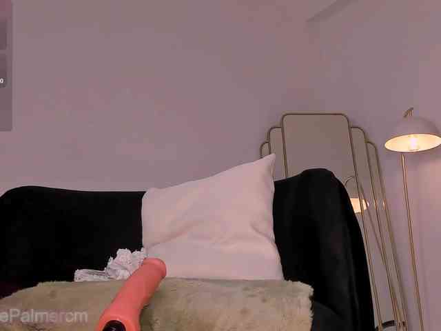 CelestePalmer webcam