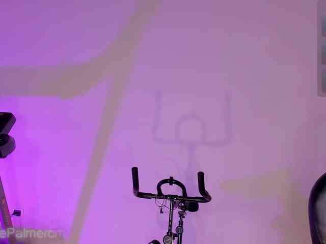 CelestePalmer webcam