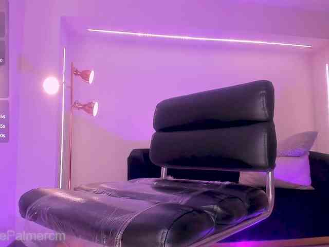 CelestePalmer webcam