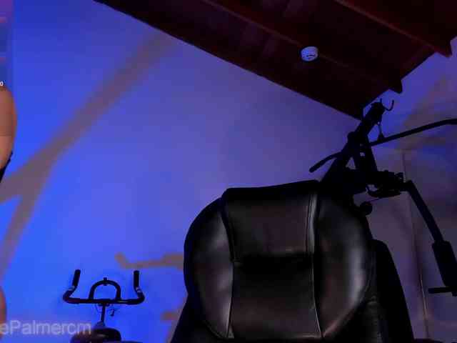 CelestePalmer webcam