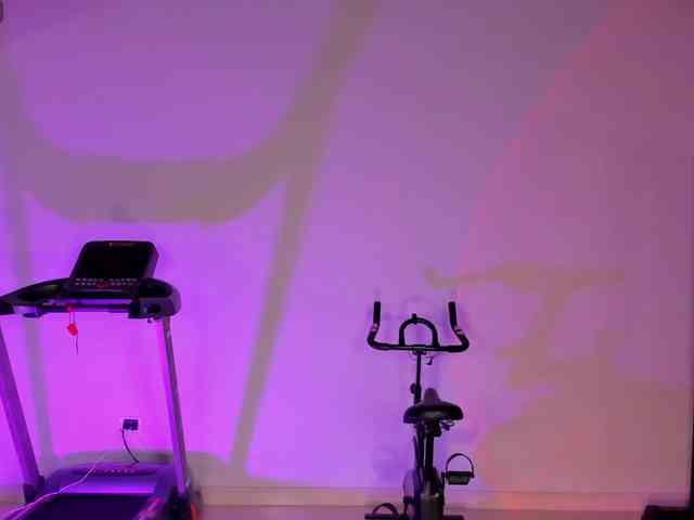 CelestePalmer webcam