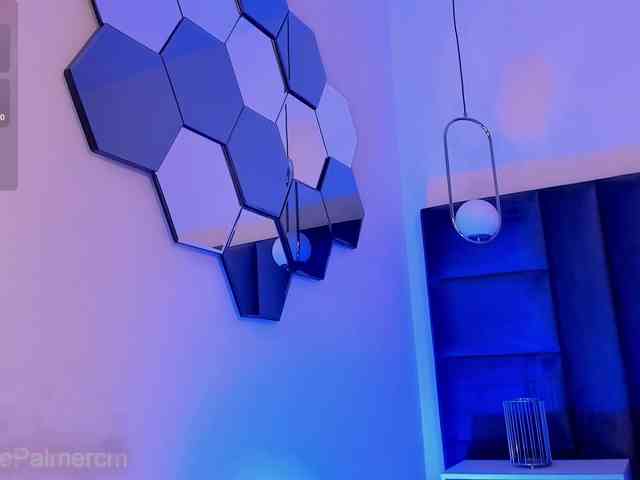 CelestePalmer webcam