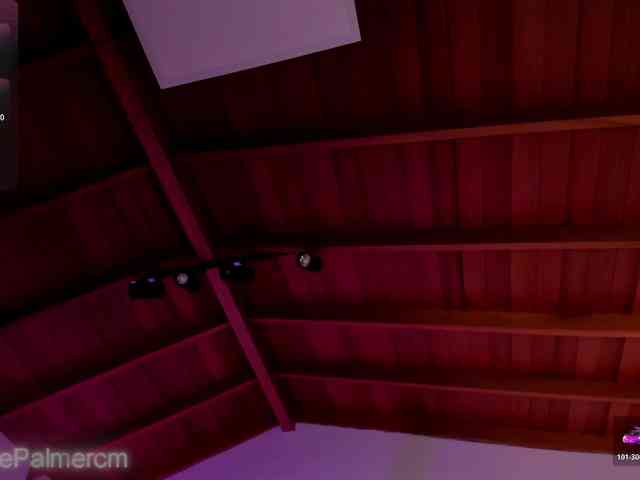 CelestePalmer webcam