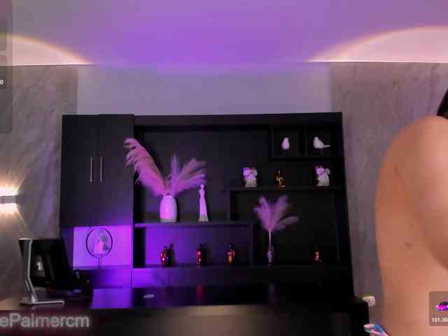 CelestePalmer webcam