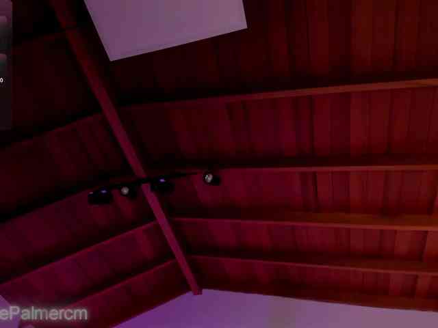 CelestePalmer webcam