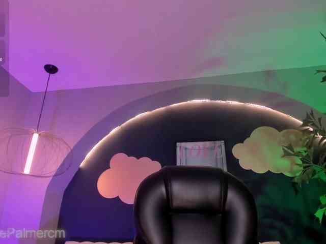 CelestePalmer webcam