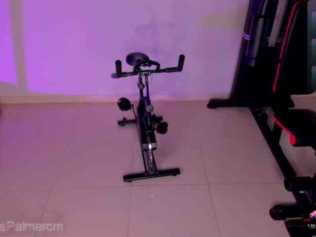 CelestePalmer webcam