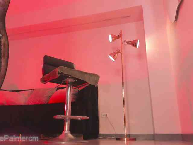 CelestePalmer webcam