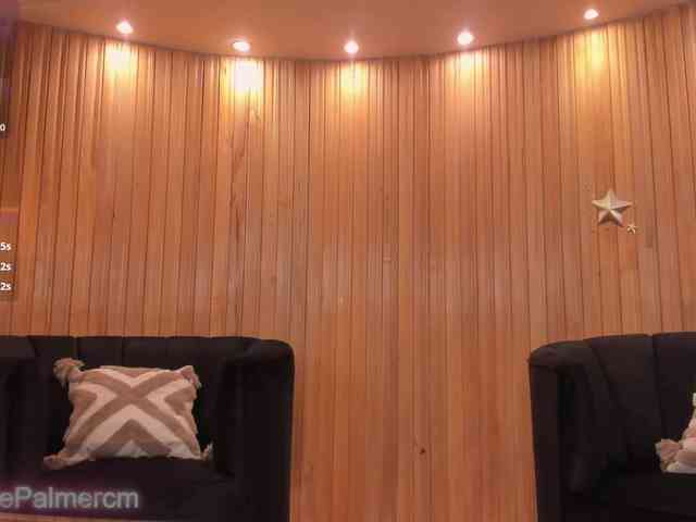 CelestePalmer webcam