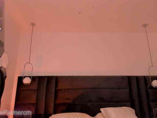 CelestePalmer webcam