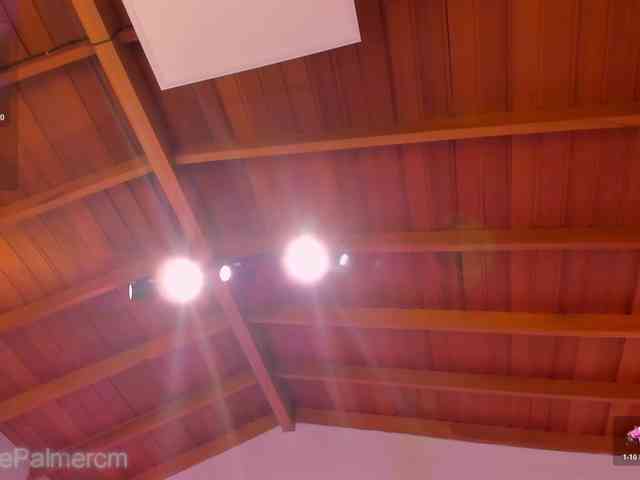 CelestePalmer webcam