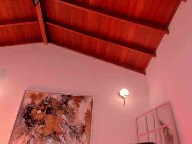 CelestePalmer webcam