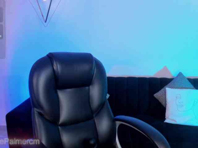 CelestePalmer webcam