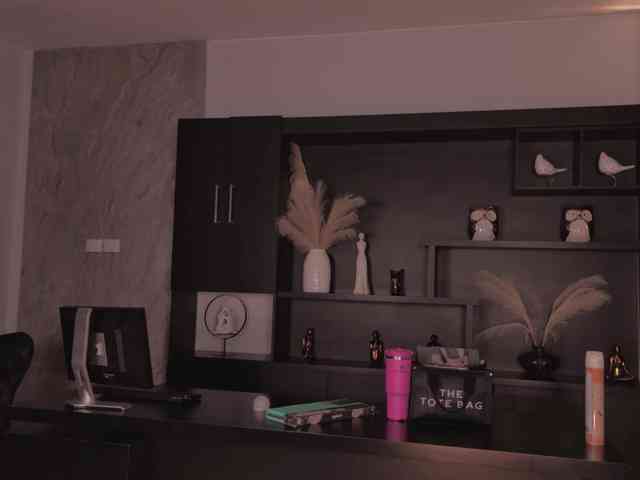 CelestePalmer webcam