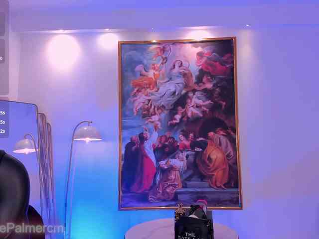 CelestePalmer webcam