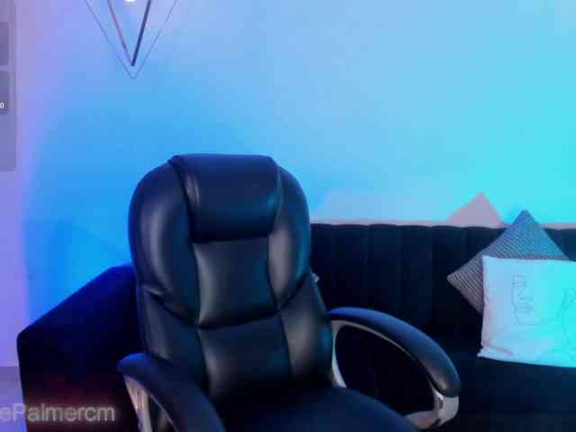 CelestePalmer webcam
