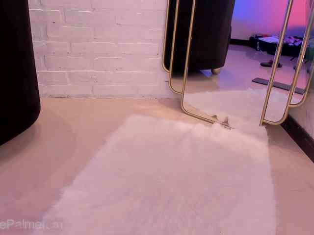 CelestePalmer webcam