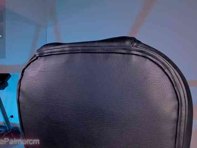 CelestePalmer webcam