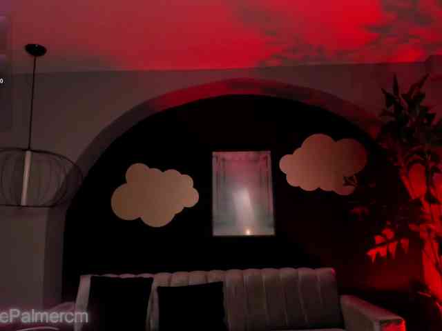 CelestePalmer webcam