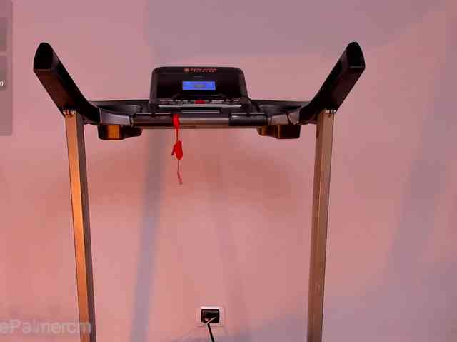 CelestePalmer webcam