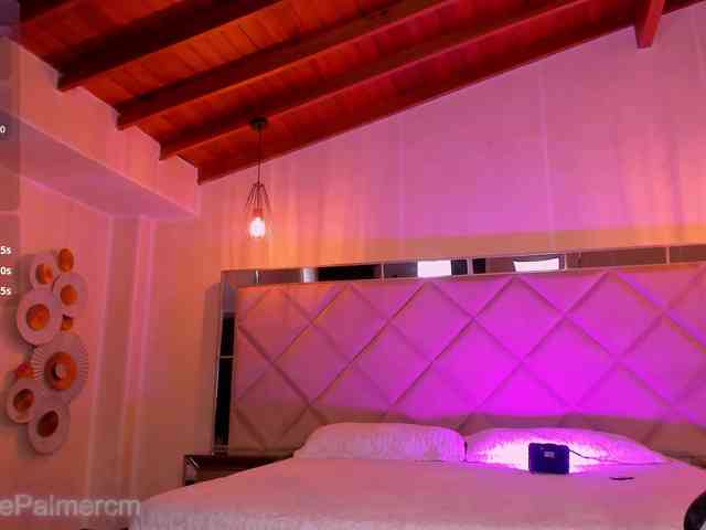 CelestePalmer webcam