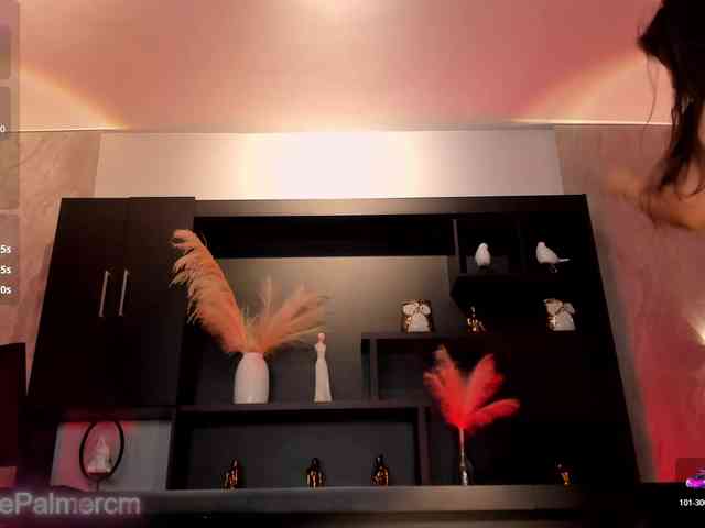 CelestePalmer webcam