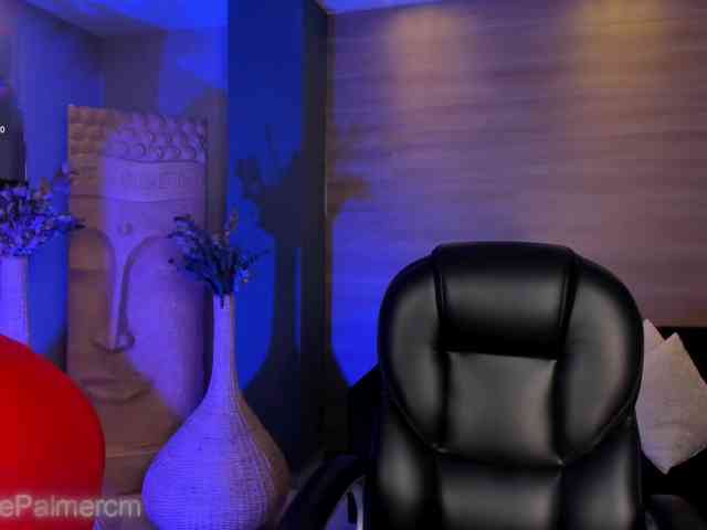 CelestePalmer webcam