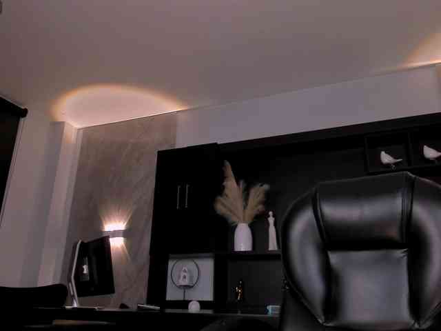 CelestePalmer webcam