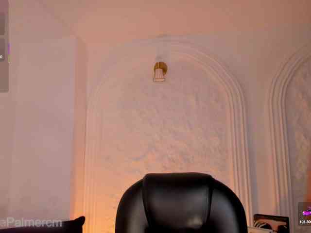 CelestePalmer webcam