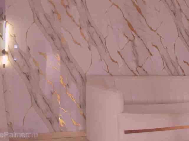 CelestePalmer webcam
