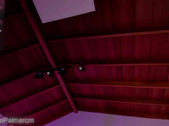 CelestePalmer webcam