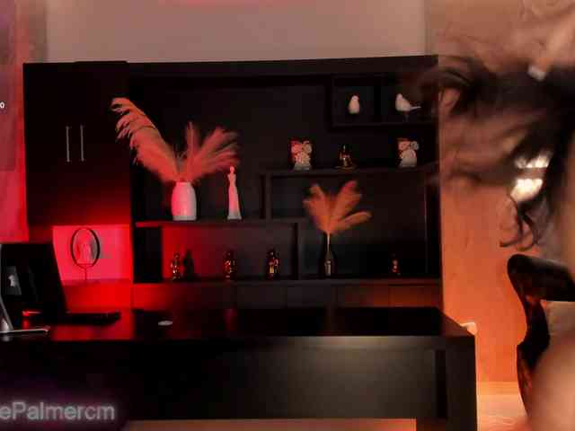 CelestePalmer webcam