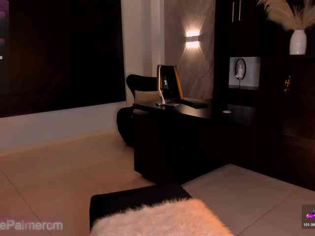 CelestePalmer webcam