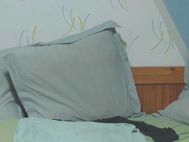 enchaleur76-1 preview