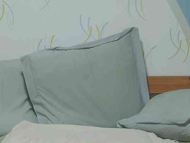 enchaleur76-1 webcam