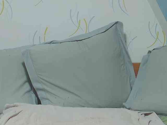 enchaleur76-1 webcam