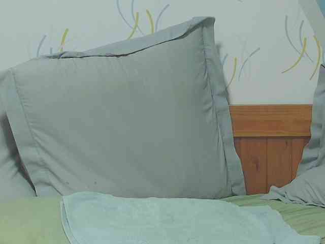 enchaleur76-1 webcam