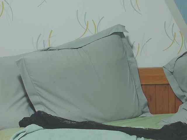 enchaleur76-1 webcam