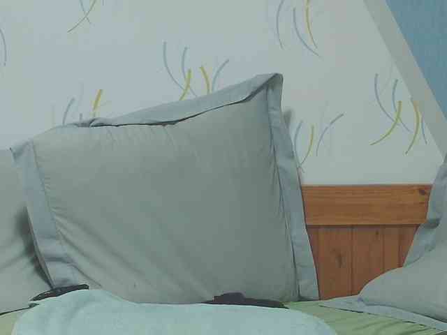 enchaleur76-1 webcam