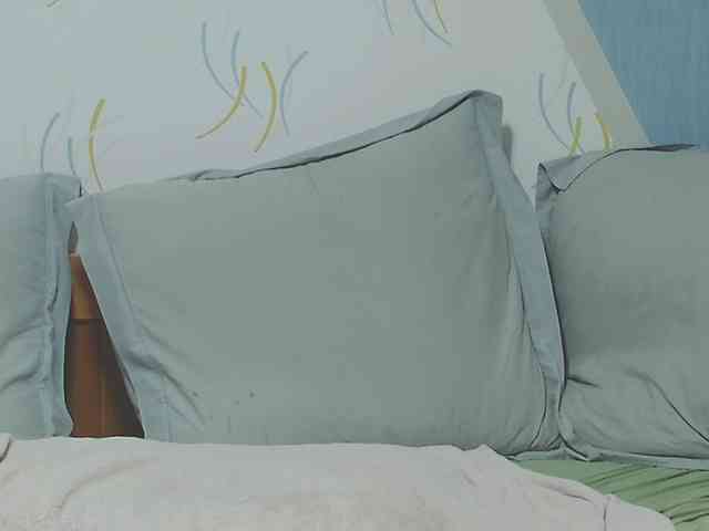 enchaleur76-1 webcam