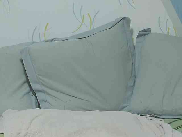 enchaleur76-1 webcam