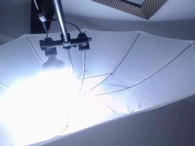 Kathemills235 webcam