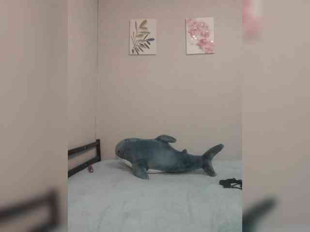 -MILEDI-MOON webcam