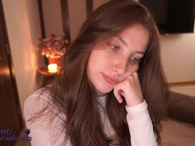 Hamster-Vixie preview