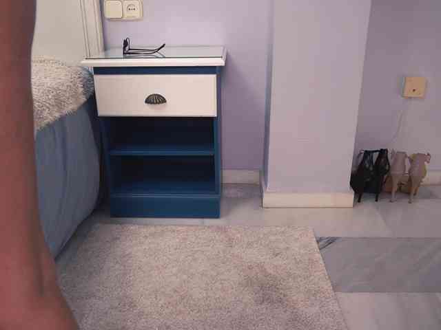 new1dee webcam